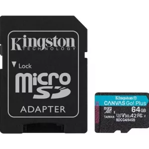 Kingston Canvas Go! Plus SDCG4/256GB 256GB Micro SD Card, UHS-1 (U3)